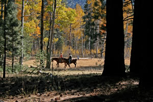 Horseback Riding in Bell Meadow in Autumn